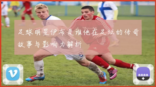 足球明星伊布是谁他在足坛的传奇故事与影响力解析