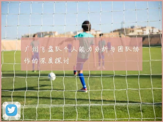 广州飞盘队个人能力分析与团队协作的深度探讨