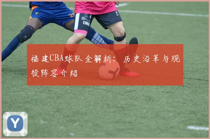 福建CBA球队全解析：历史沿革与现役阵容介绍