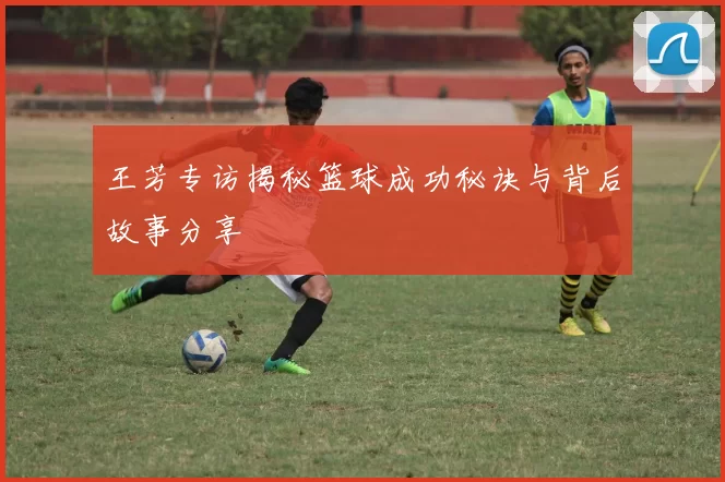 王芳专访揭秘篮球成功秘诀与背后故事分享