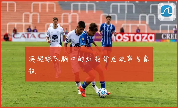 英超球队胸口的红花背后故事与象征