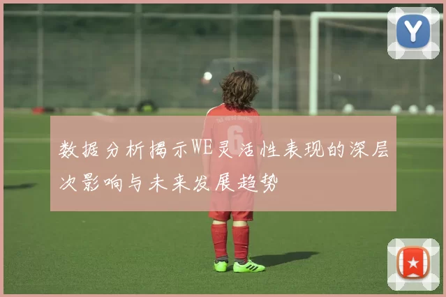 数据分析揭示WE灵活性表现的深层次影响与未来发展趋势