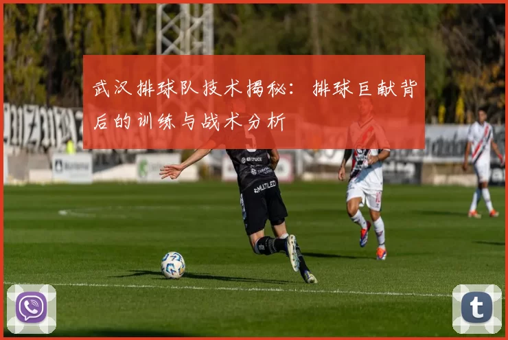 武汉排球队技术揭秘：排球巨献背后的训练与战术分析