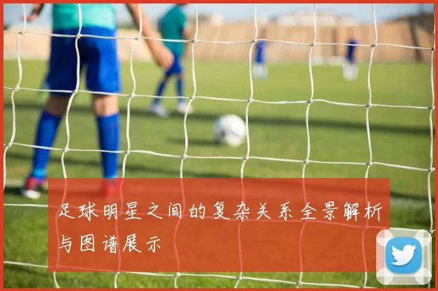 足球明星之间的复杂关系全景解析与图谱展示