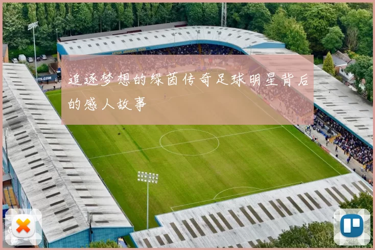 追逐梦想的绿茵传奇足球明星背后的感人故事