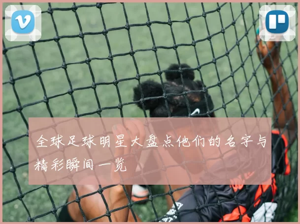 全球足球明星大盘点他们的名字与精彩瞬间一览
