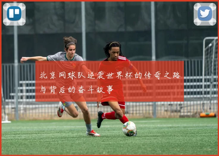 北京网球队逆袭世界杯的传奇之路与背后的奋斗故事
