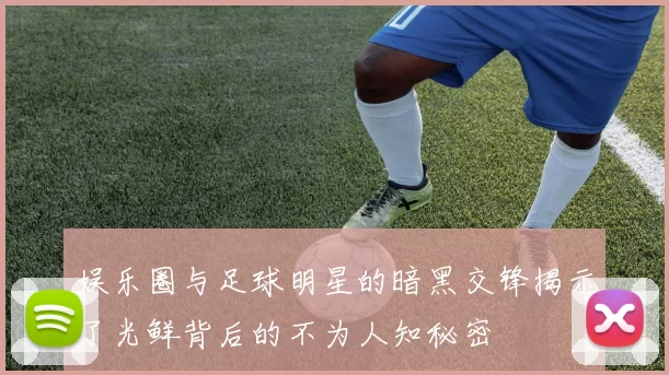 娱乐圈与足球明星的暗黑交锋揭示了光鲜背后的不为人知秘密