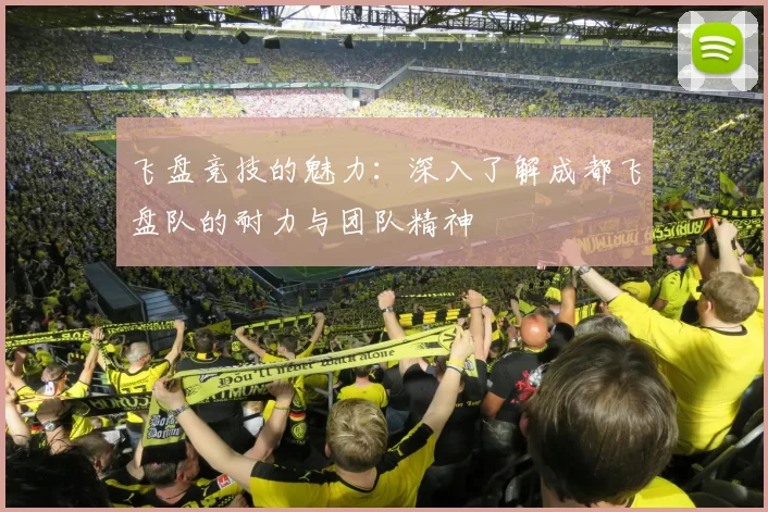 飞盘竞技的魅力：深入了解成都飞盘队的耐力与团队精神
