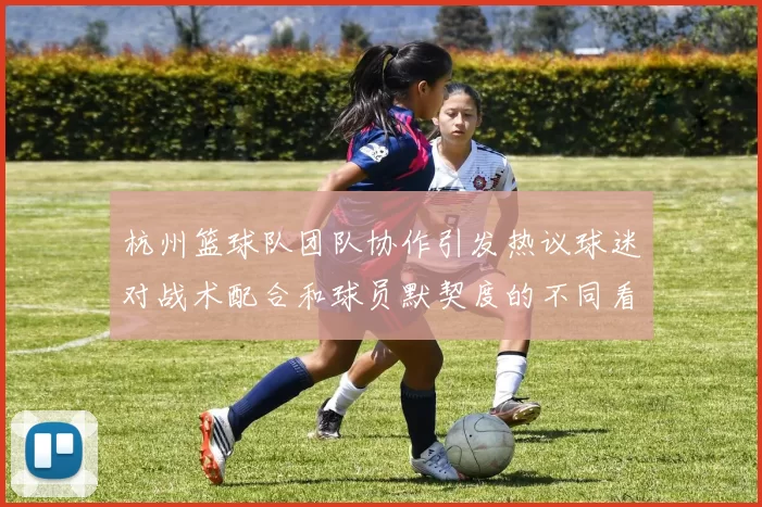 杭州篮球队团队协作引发热议球迷对战术配合和球员默契度的不同看法