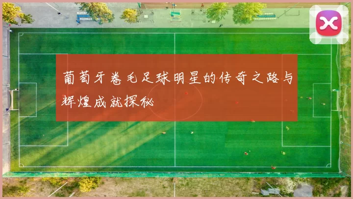 葡萄牙卷毛足球明星的传奇之路与辉煌成就探秘