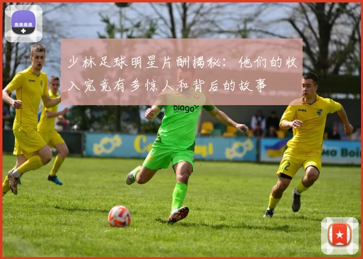 少林足球明星片酬揭秘：他们的收入究竟有多惊人和背后的故事