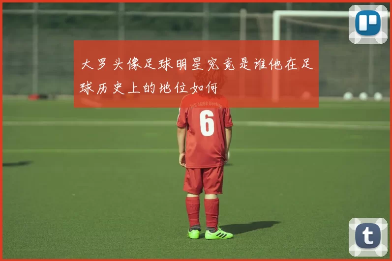 大罗头像足球明星究竟是谁他在足球历史上的地位如何