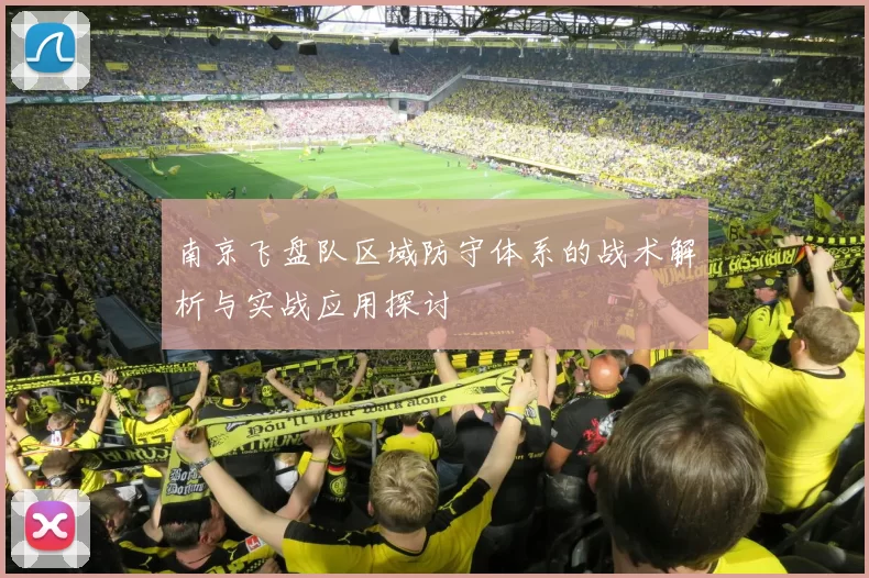 南京飞盘队区域防守体系的战术解析与实战应用探讨