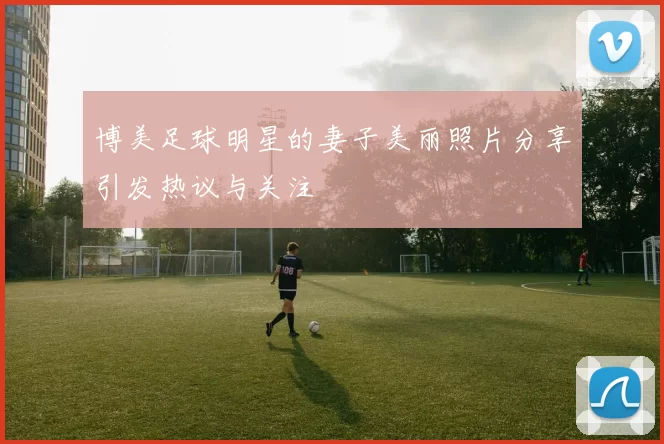 博美足球明星的妻子美丽照片分享引发热议与关注