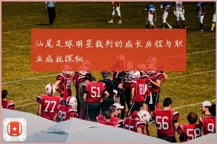 汕尾足球明星裁判的成长历程与职业成就探秘