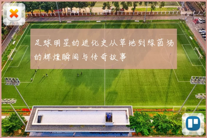 足球明星的进化史从草地到绿茵场的辉煌瞬间与传奇故事