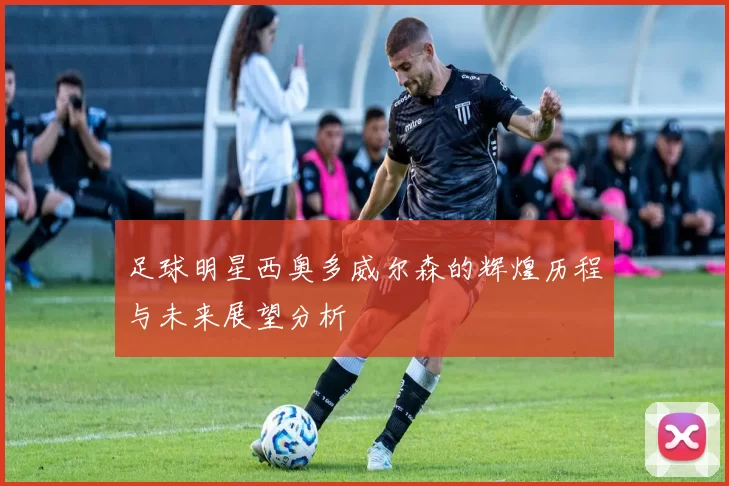 足球明星西奥多威尔森的辉煌历程与未来展望分析