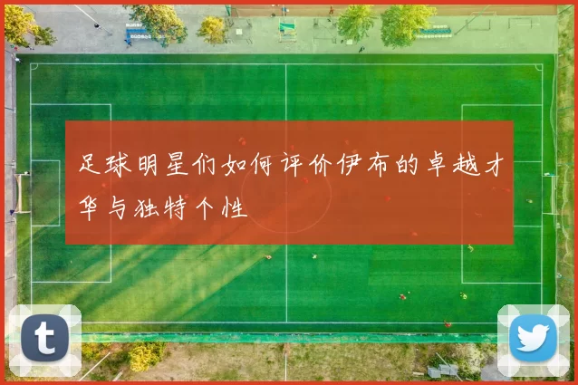 足球明星们如何评价伊布的卓越才华与独特个性