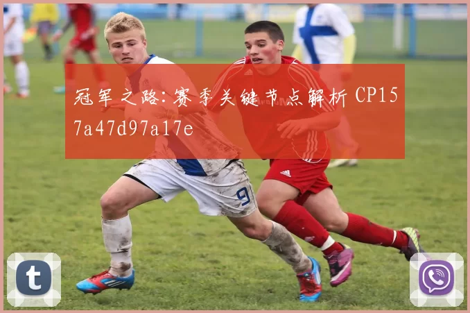 冠军之路:赛季关键节点解析 CP157a47d97a17e