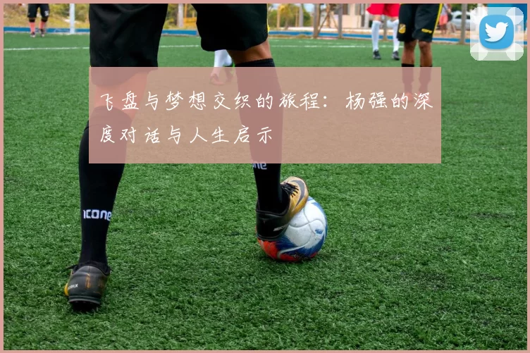 飞盘与梦想交织的旅程：杨强的深度对话与人生启示