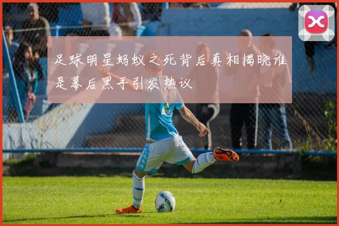 足球明星蚂蚁之死背后真相揭晓谁是幕后黑手引发热议