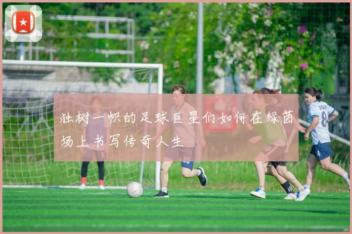 独树一帜的足球巨星们如何在绿茵场上书写传奇人生