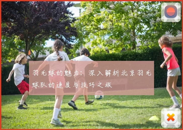 羽毛球的魅力：深入解析北京羽毛球队的速度与技巧之旅
