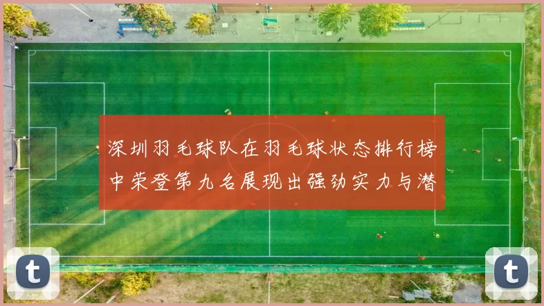深圳羽毛球队在羽毛球状态排行榜中荣登第九名展现出强劲实力与潜力